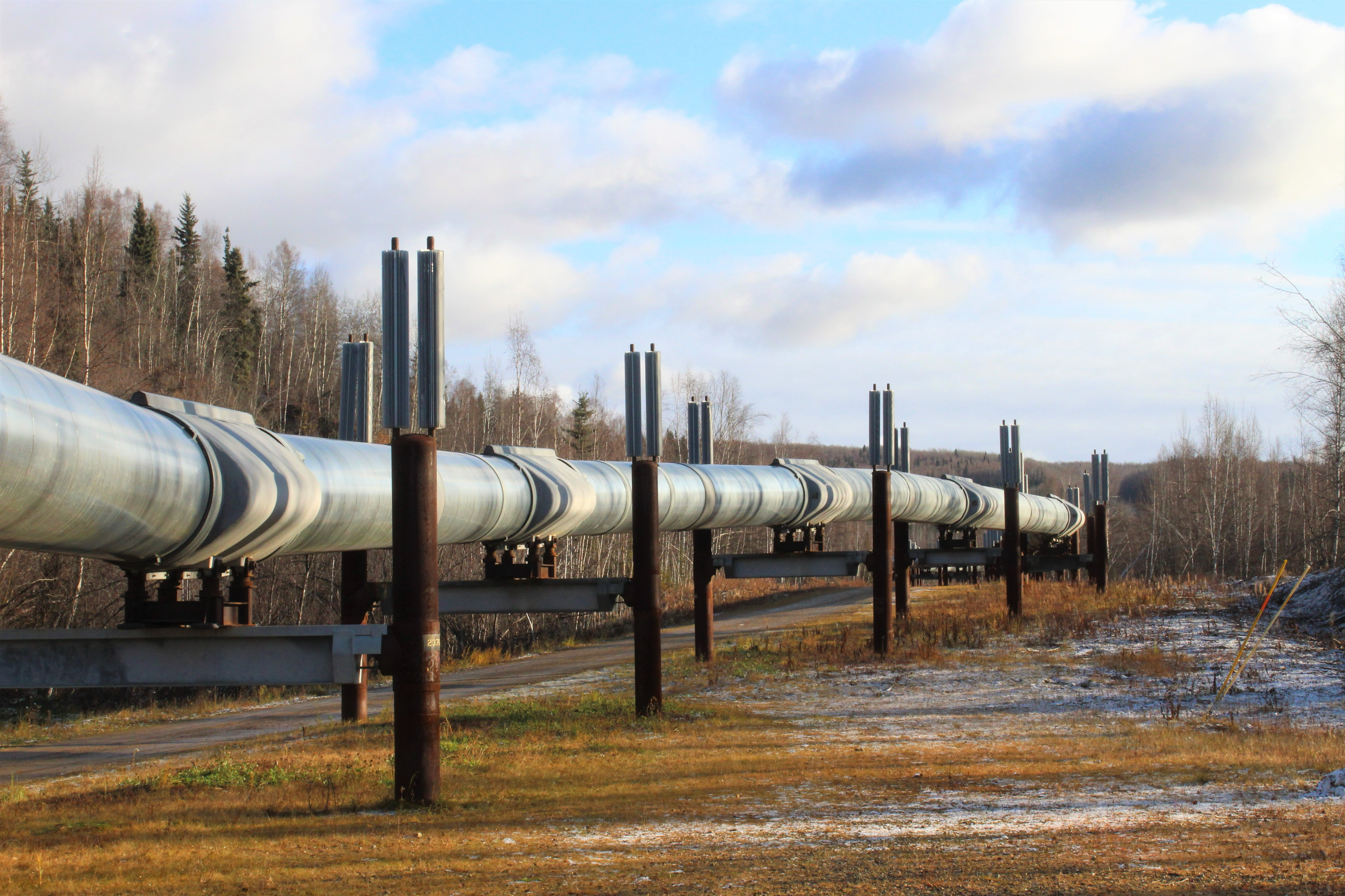 Contractors and Field Teams