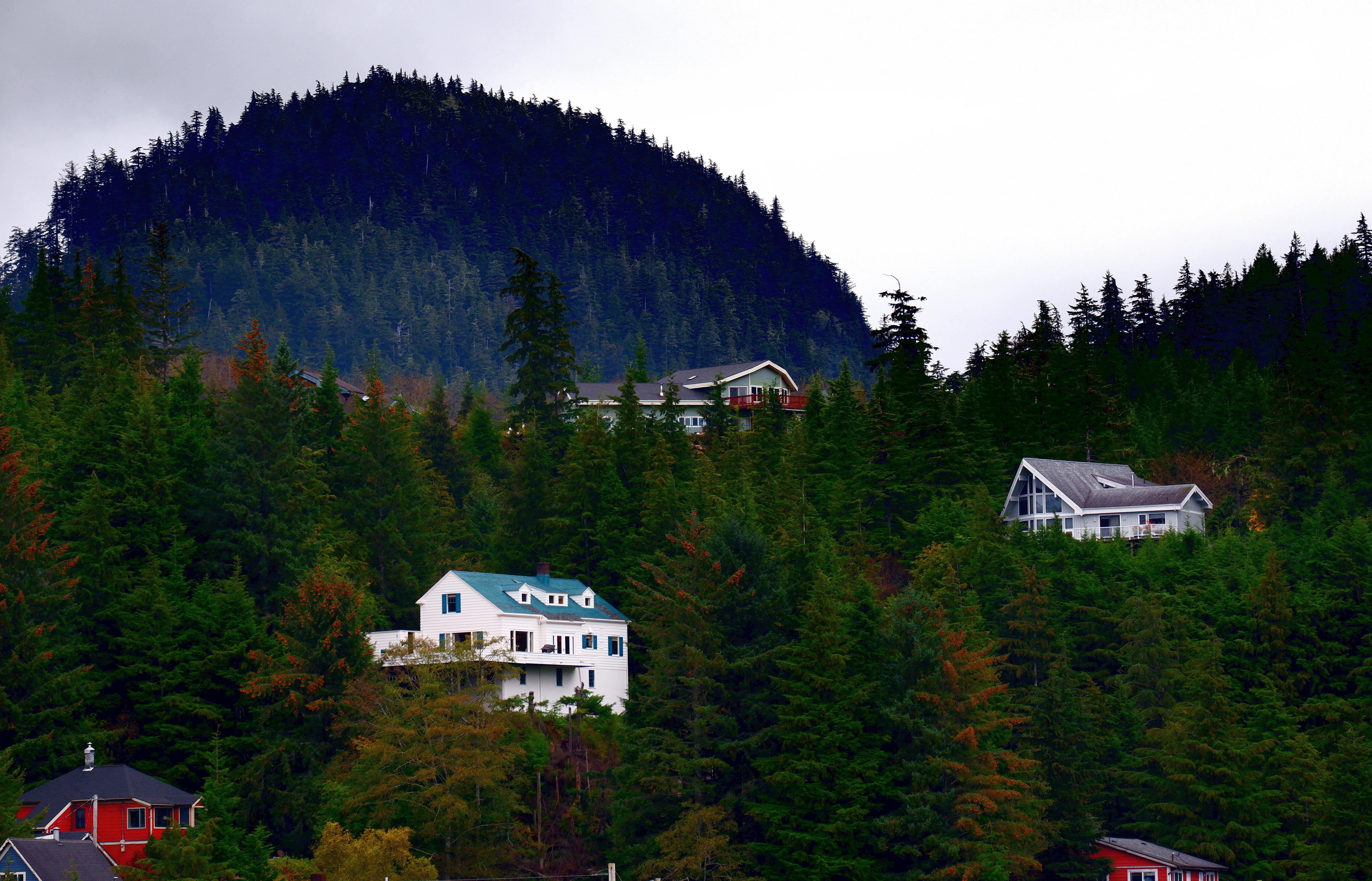Homeowners and Remote Residents